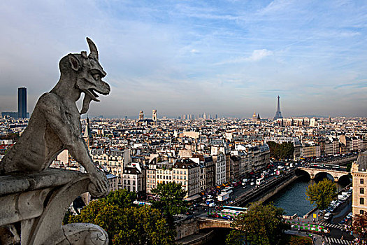 滴水兽,远眺,巴黎
