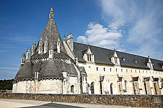 法国,曼恩-卢瓦尔省,安茹,皇家,教堂,罗马式,厨房,12世纪