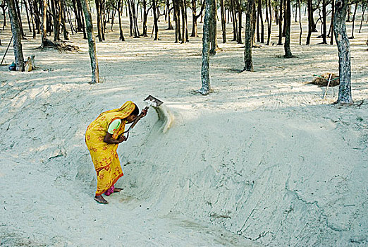 女工,难民,沙子,道路,树,海洋,海滩,四月,2007年,市场,孟加拉,工人,美元,白天,工作
