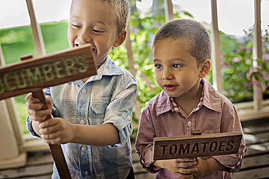 两个男孩,制作,标识,蔬菜,种子
