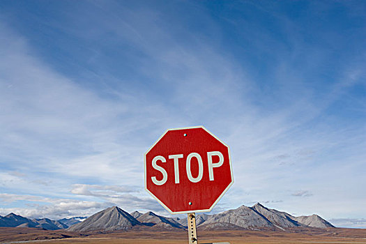 停车标志,公路,布鲁克斯山,靠近,北极,阿拉斯加,夏天