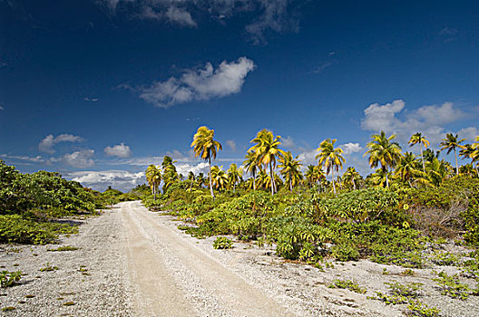 碎石路,土阿莫土群岛,法属玻利尼西亚,太平洋