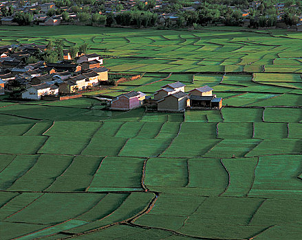 中国四川阿坝田园风光