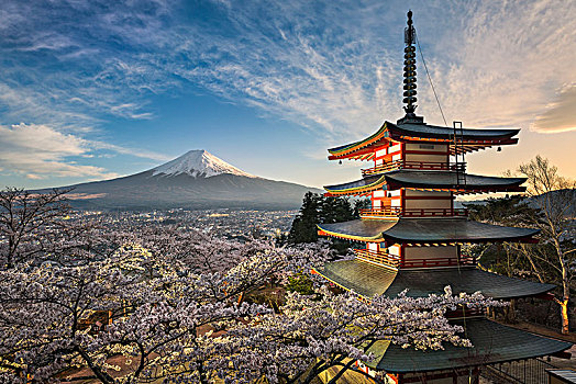 富士山,红色,塔,春天,樱花,日本