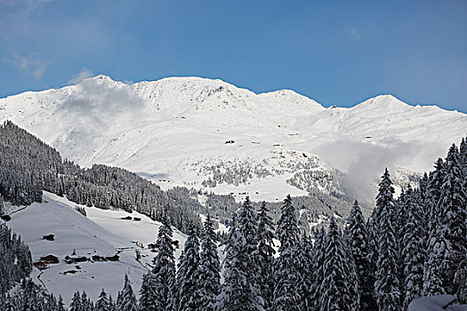 日光,积雪,山脉,树,前景,蓝天,悉特图克斯,奥地利