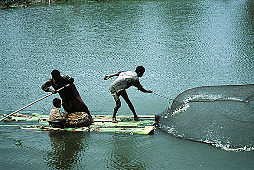 捕鱼,沼泽,孟加拉