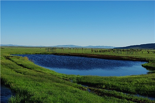 蓝湖,绿色,大牧场,靠近,科罗拉多