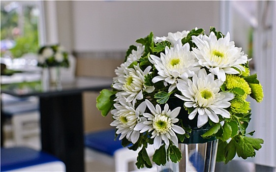 白色,菊花,花,玻璃花瓶