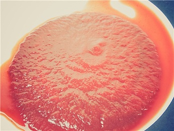 蕃茄酱图片