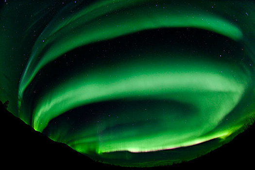 螺旋,北极光,极地,绿色,靠近,育空地区,加拿大