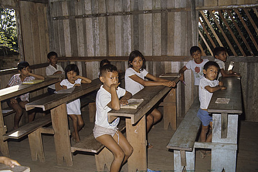 巴西,亚马逊河,乡村,学校