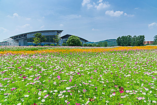 南京中医药大学