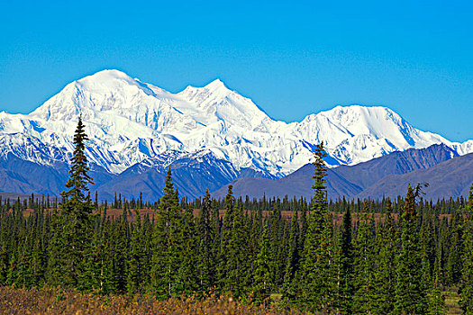 德纳里峰,山,麦金利山,惊奇,景象,清晰,白天,阿拉斯加,大幅,尺寸