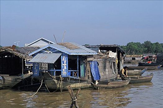 柬埔寨,湖,便携,家,传统,树液
