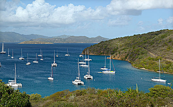加勒比,英属维京群岛,岛屿,帆船,锚,大幅,尺寸