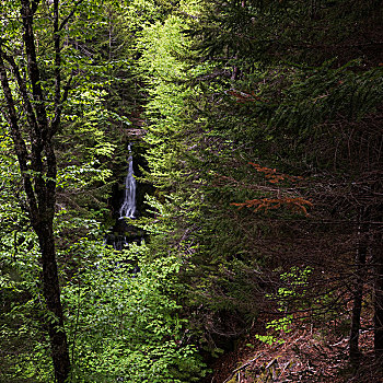 瀑布,芬地湾国家公园,新布兰斯维克,加拿大