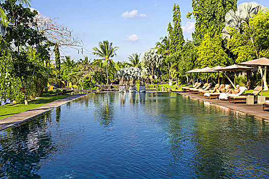 游泳池,乌布,巴厘岛,印度尼西亚