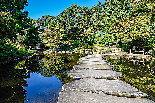 日式庭园,水塘,城市公园,多特蒙德,北莱茵威斯特伐利亚,德国,欧洲