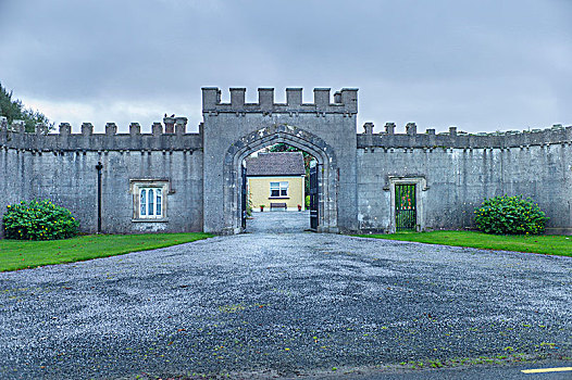 老,城堡,墙壁,大门,砾石,入口,爱尔兰