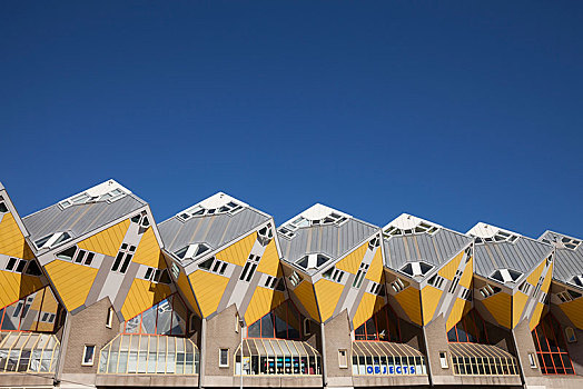 立方体,房子,建筑,建筑师,鹿特丹,荷兰