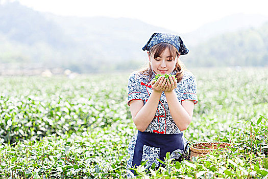 亚洲人,漂亮,女孩,种植园