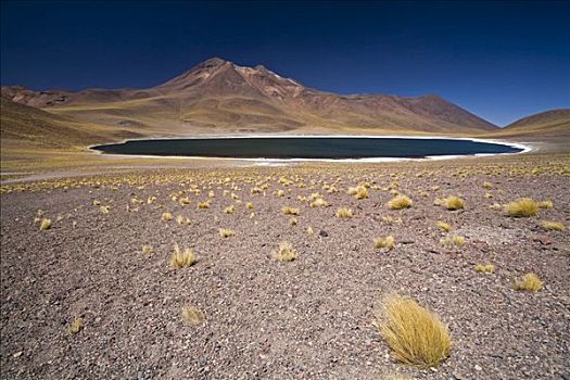 泻湖,山,高原,智利,南美