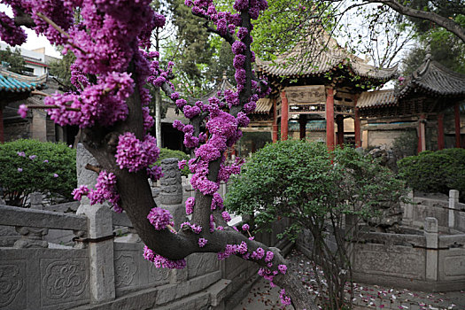 西安清真大寺