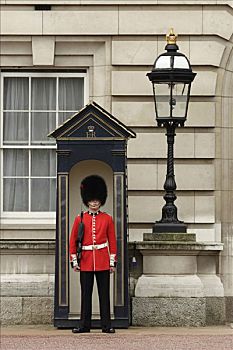 皇家卫兵,伦敦,英国