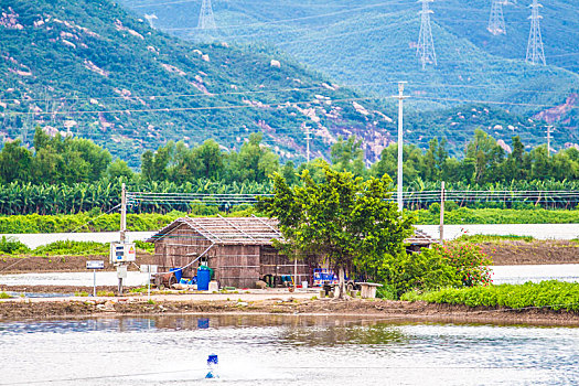 江门银湖湾湿地风光