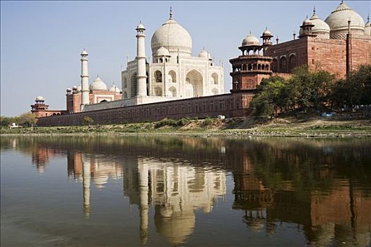 泰姬陵,反射,世界遗产,北方邦,印度,南亚