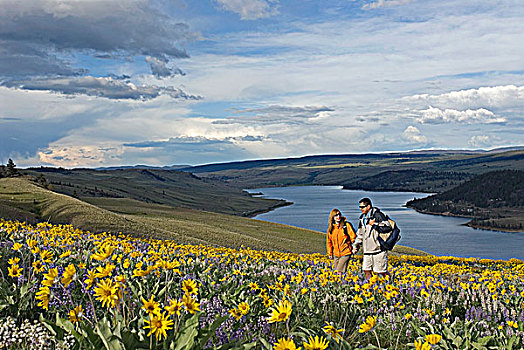 伴侣,相互,远足,野花,盛开,树桩,湖,南,不列颠哥伦比亚省,加拿大