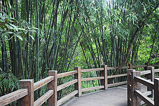 竹林绿地路桥