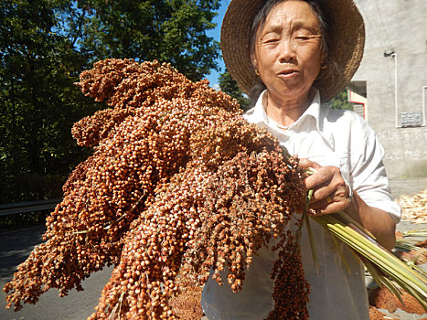 重庆市云阳县外郎乡的农村