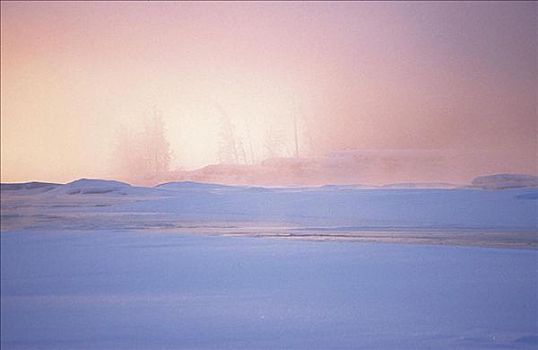 冬季风景,雪,雾,早晨,气氛,树,瑞典,斯堪的纳维亚,欧洲