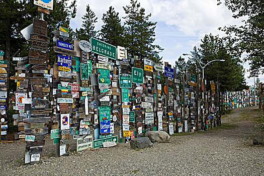 著名,阿拉斯加,公路,标识,柱子,森林,灌木丛,湖,育空地区,加拿大