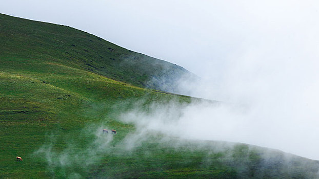 草原边际,大山深处,乌蒙高原,大山包