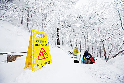 警告,小心,标牌,雪,地面,山