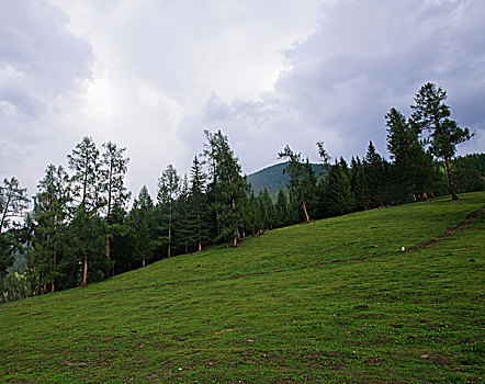 山坡草地