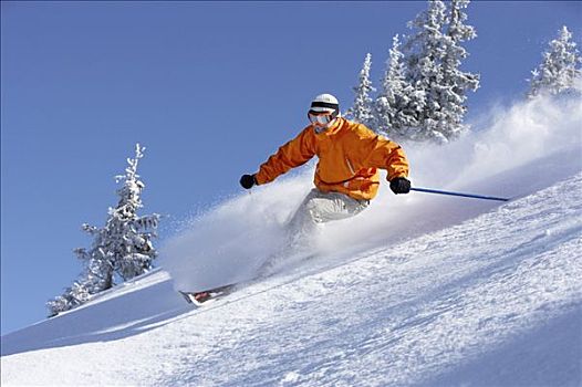 奥地利,男人,滑雪,斜坡
