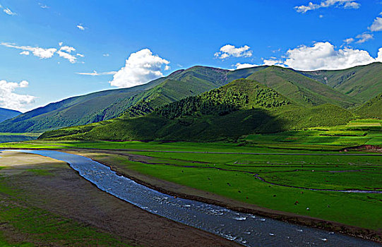 祁连山草原旅游景点介绍_祁连山草原旅游景点介绍作文