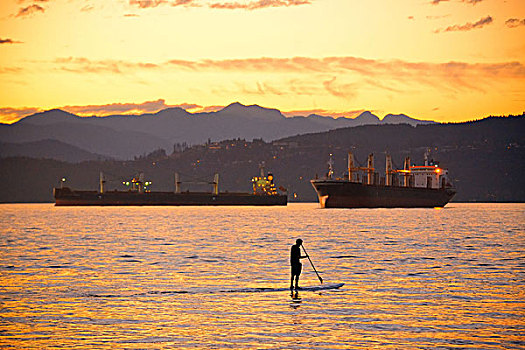 一个,男人,划艇,海洋,温哥华,日落
