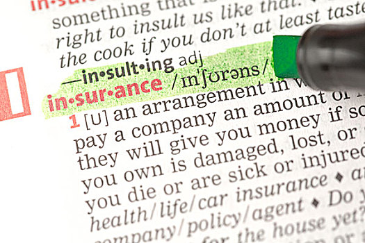 保险,定义,突显,绿色,字典