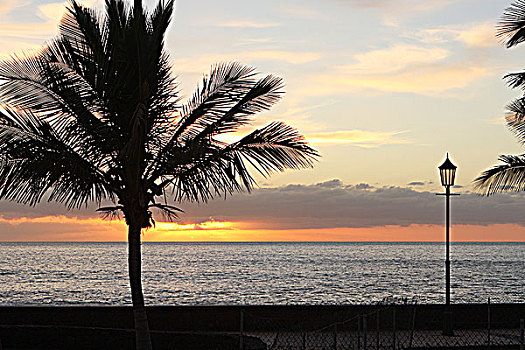 日落,上方,海洋,帕尔玛,加纳利群岛,西班牙,2009年
