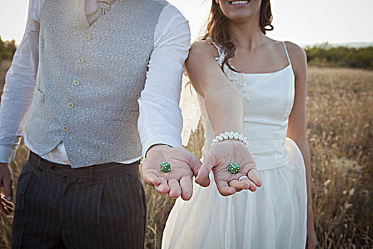 新婚夫妇,拿着,绿色,骰子