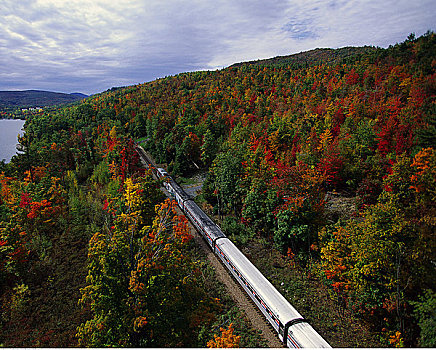 列车,树,阿第伦达克山,纽约,美国