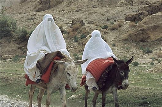 女人,区域,阿富汗