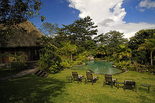 哥斯达黎加,雨林,住宿,游泳池