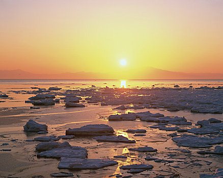 日出,海洋,鄂霍次克海,冰