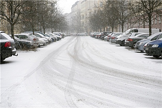 柏林,一个,降雪,冬天,温度