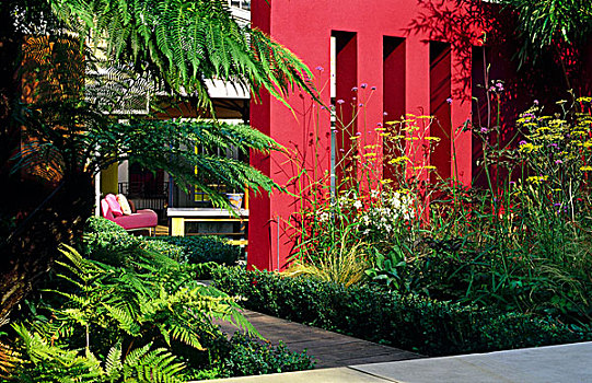 红色,弗米利恩,墙壁,花园,夏天,多年生植物,收件箱